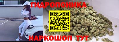apvp Новодвинск