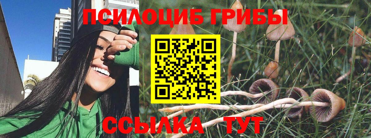 Галлюциногенные грибы MAGIC MUSHROOMS  Псилоцибиновые грибы Psilocybine cubensis  Спасск-Дальний  сколько стоит  Вход с VPN 