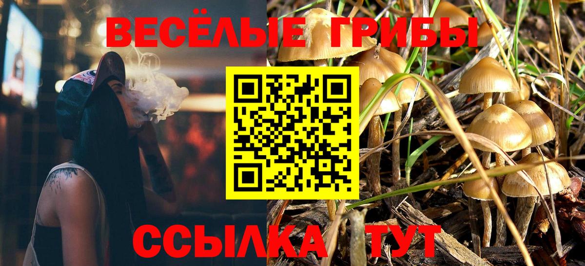 Псилоцибиновые грибы мухоморы Спасск-Дальний